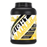 Amazing Muscle Whey Protein Gainer Banana Flavour 6 Lbs