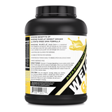 Amazing Muscle Whey Protein Gainer Banana Flavour 6 Lbs