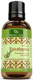 Beauty Aura Pure Essential Oil, Eucalyptus Oil (2 Oz)
